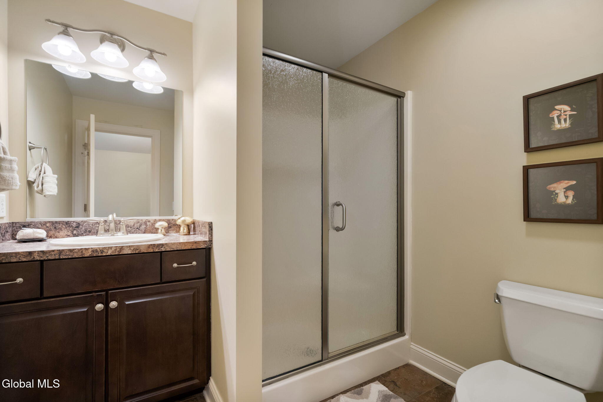 42 Tipperary Way Ballston Lake NY 12019