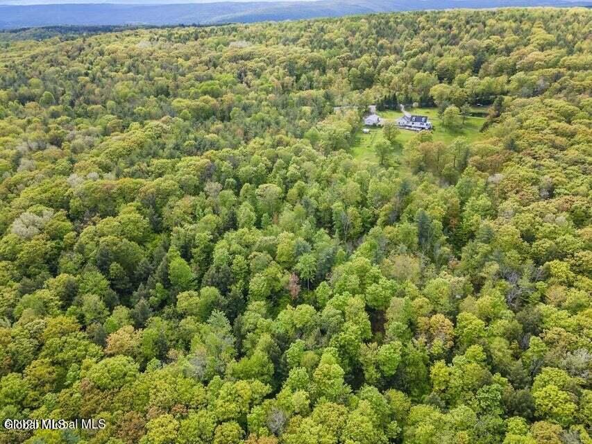 440 Posson Hill Road Middleburgh NY 12122