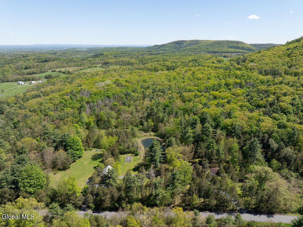 431 Onesquethaw Creek Road Feura Bush NY 12067