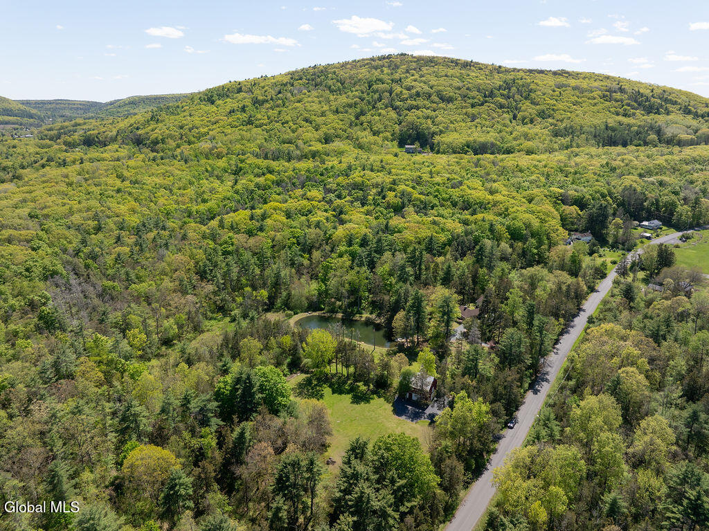 431 Onesquethaw Creek Road Feura Bush NY 12067
