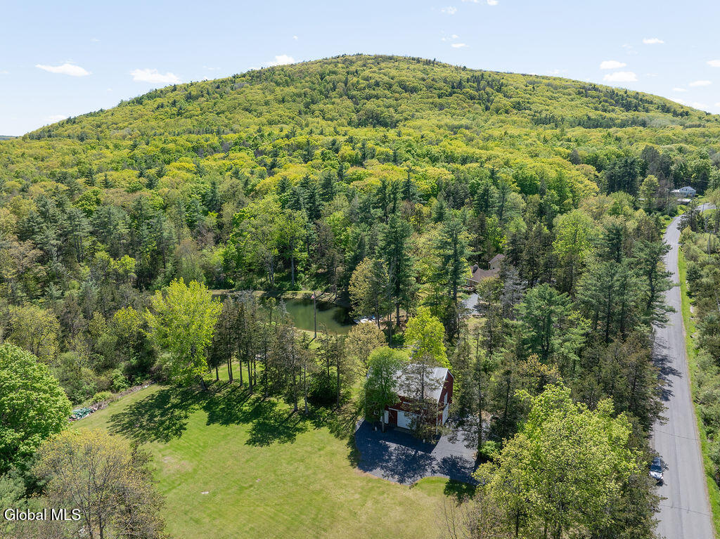 431 Onesquethaw Creek Road Feura Bush NY 12067