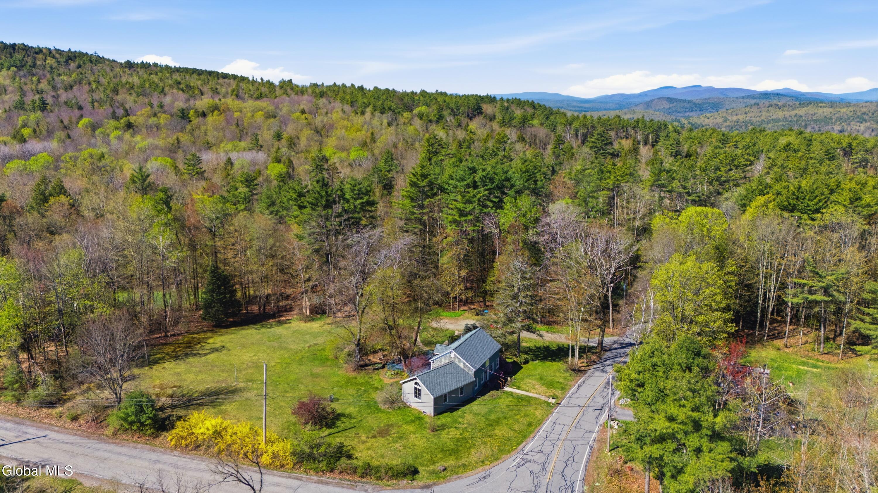 156 Lamb Hill Road Diamond Point NY 12824