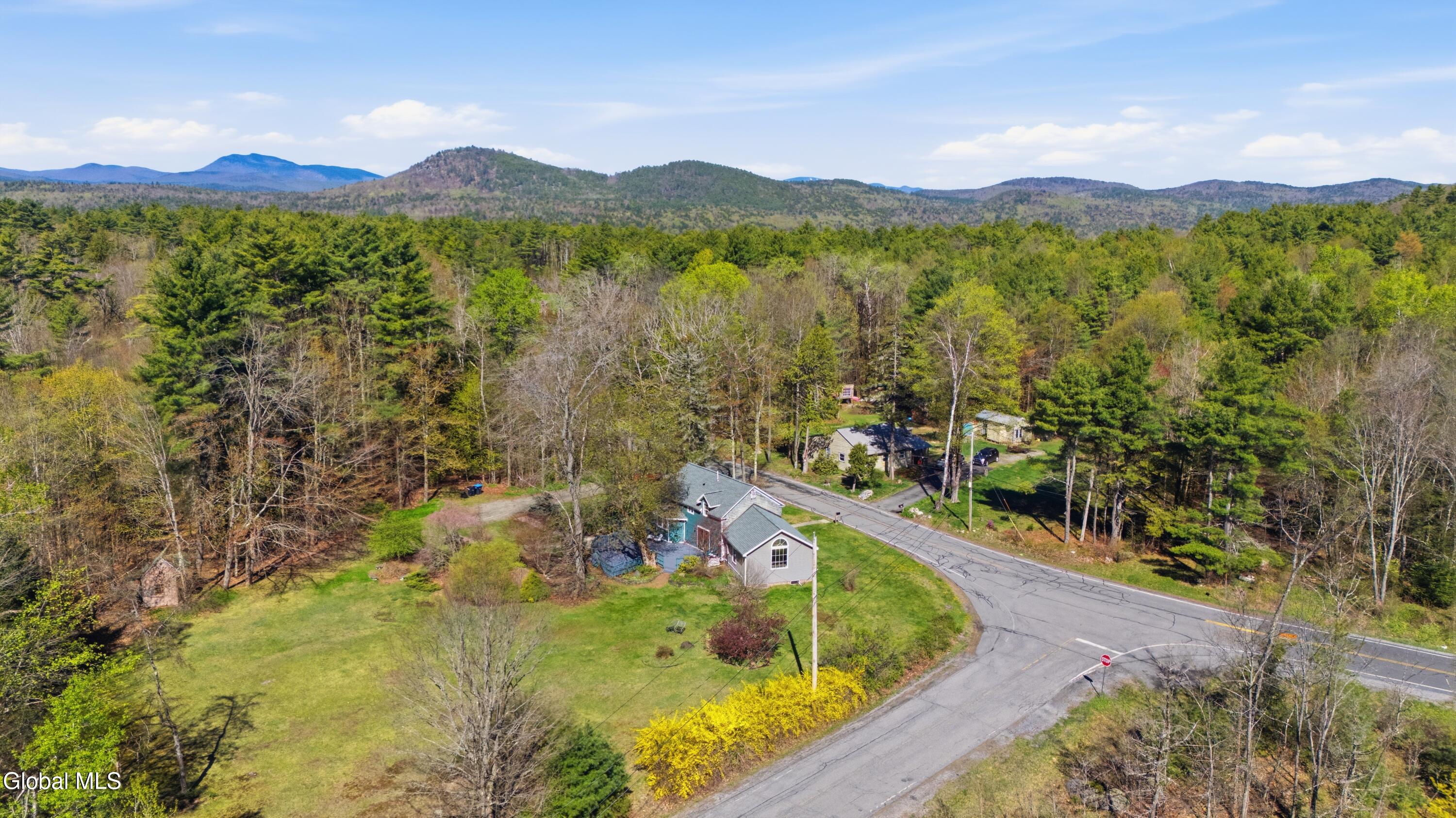 156 Lamb Hill Road Diamond Point NY 12824