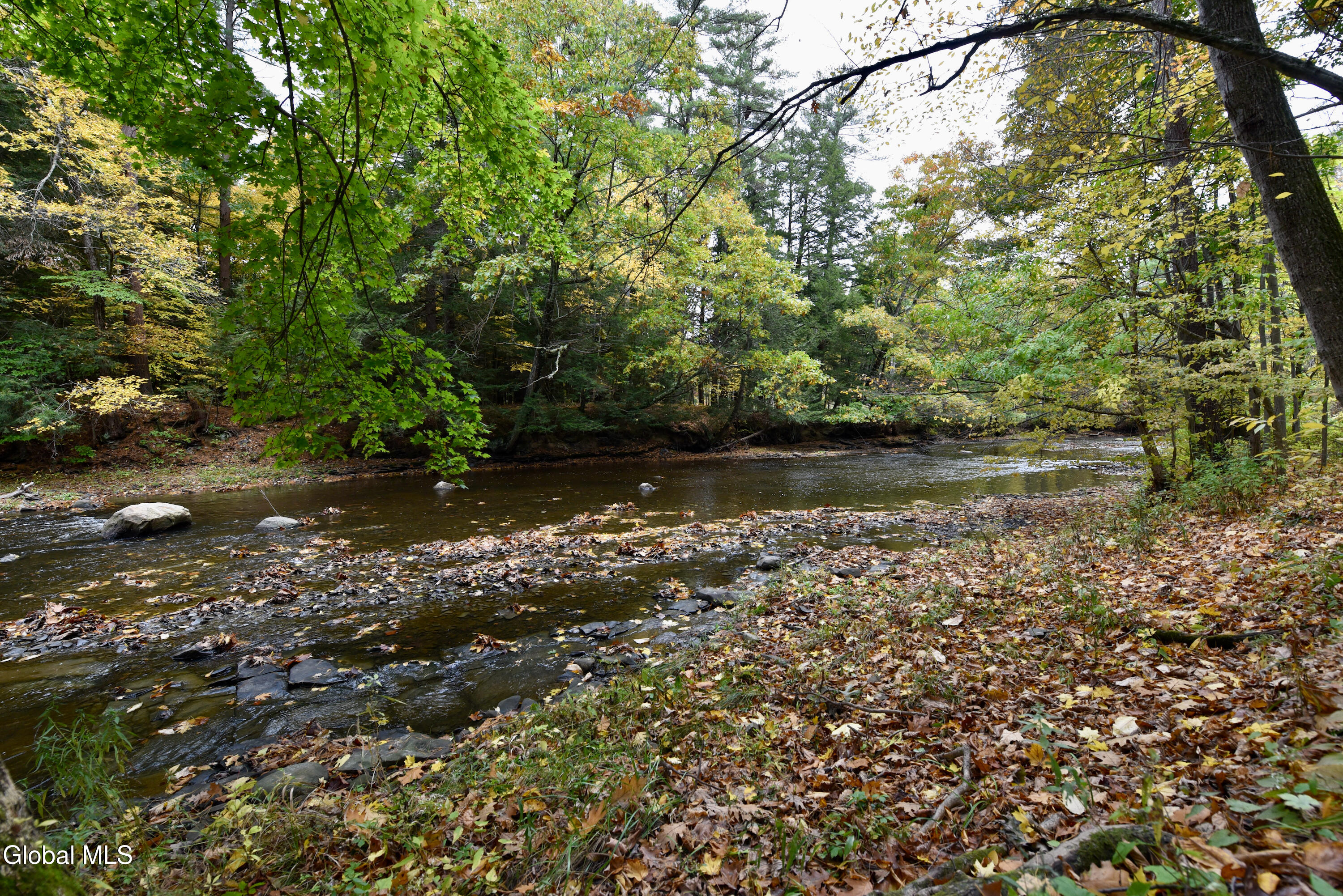 35 Rustic Bridge Road Rexford NY 12148