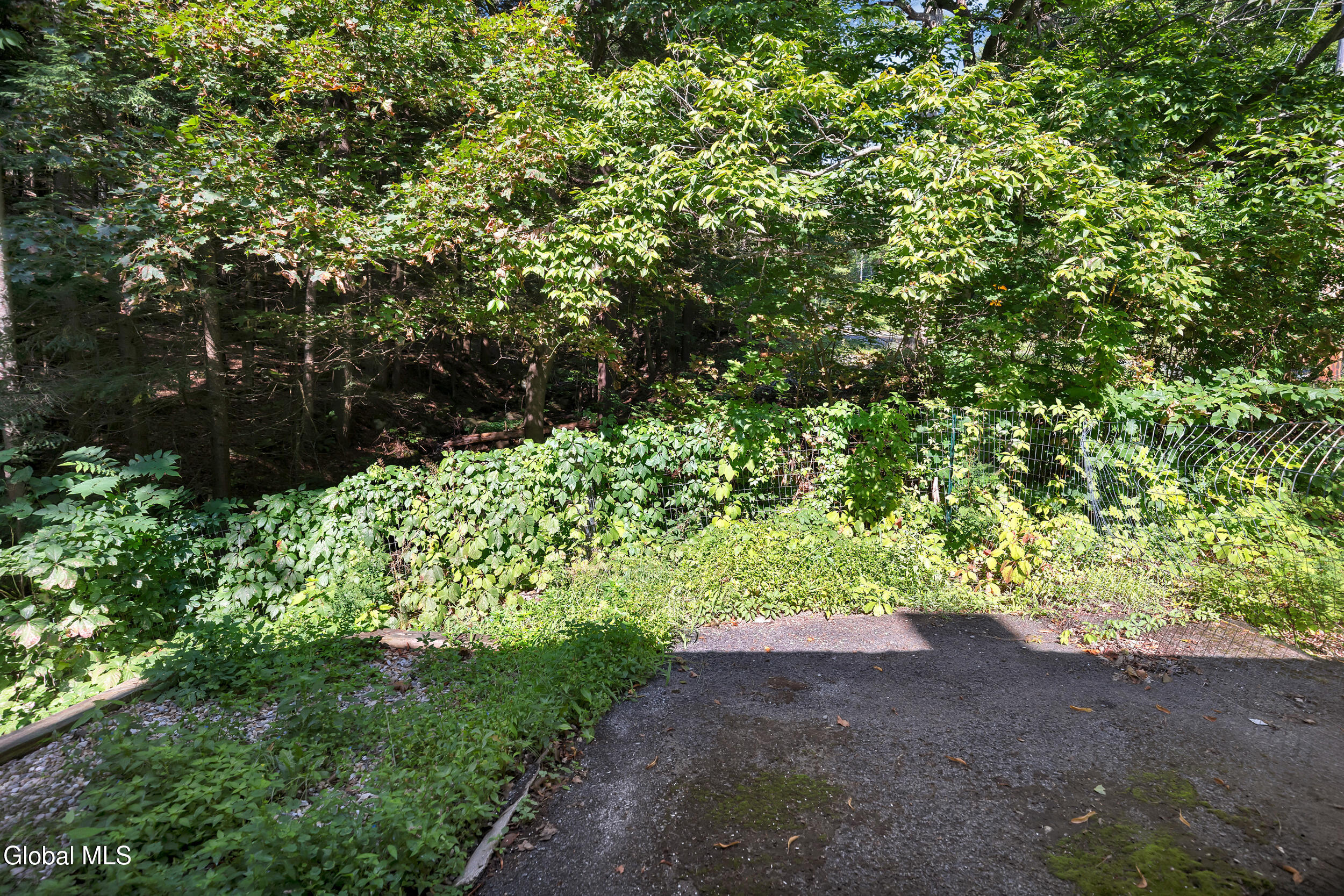 780 Diamond Point Road Diamond Point NY 12845