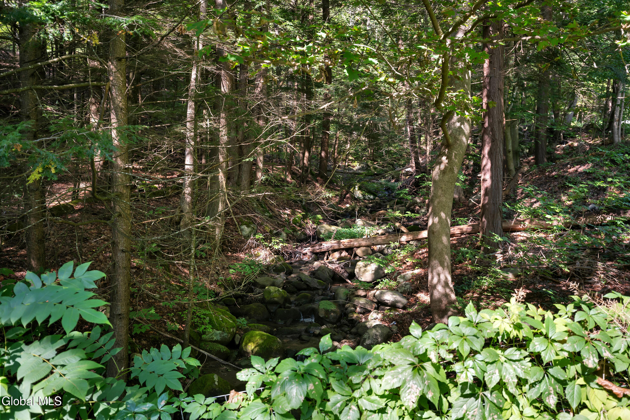 780 Diamond Point Road Diamond Point NY 12845