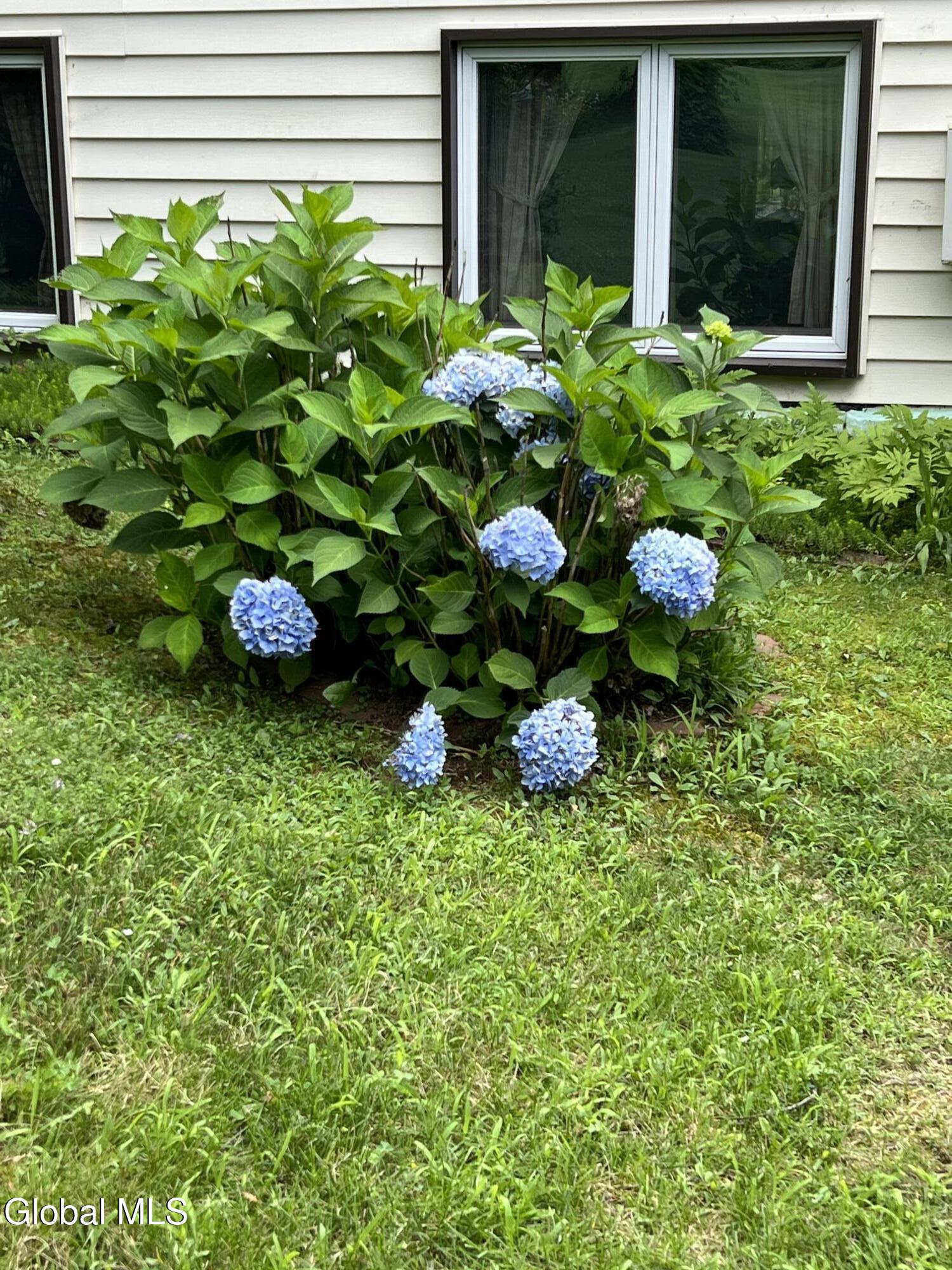 17 Holland Lane Castleton On Hudson NY 12033