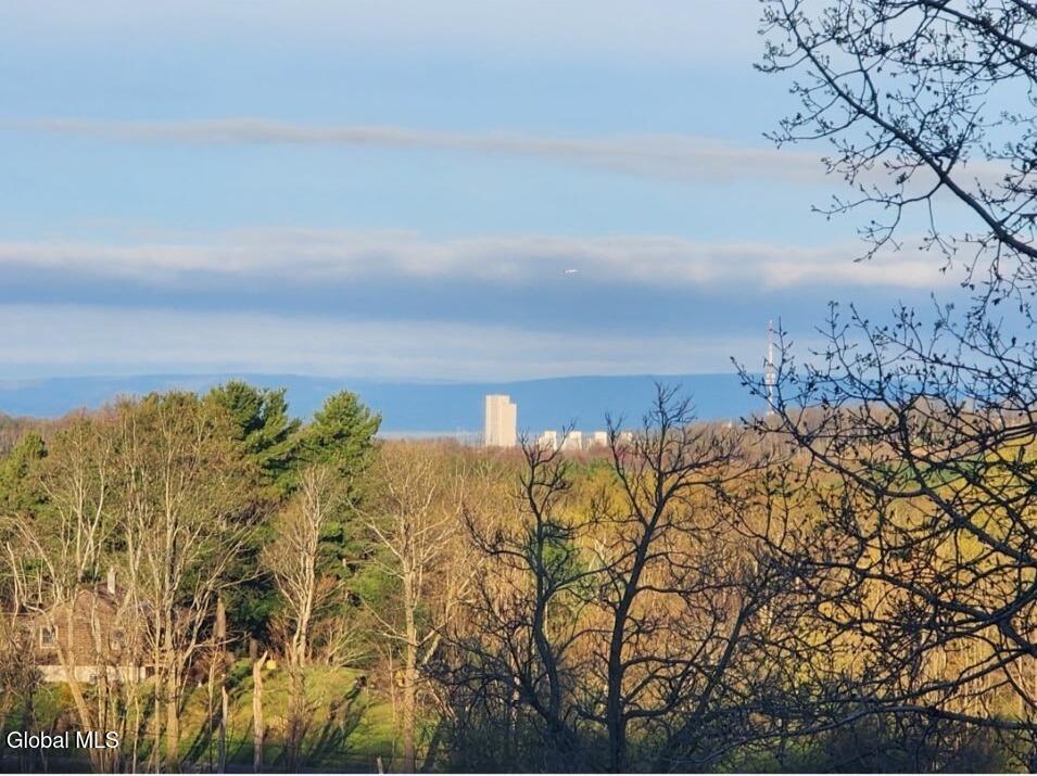 5 Mohameds Farm Way Wynantskill NY 12198