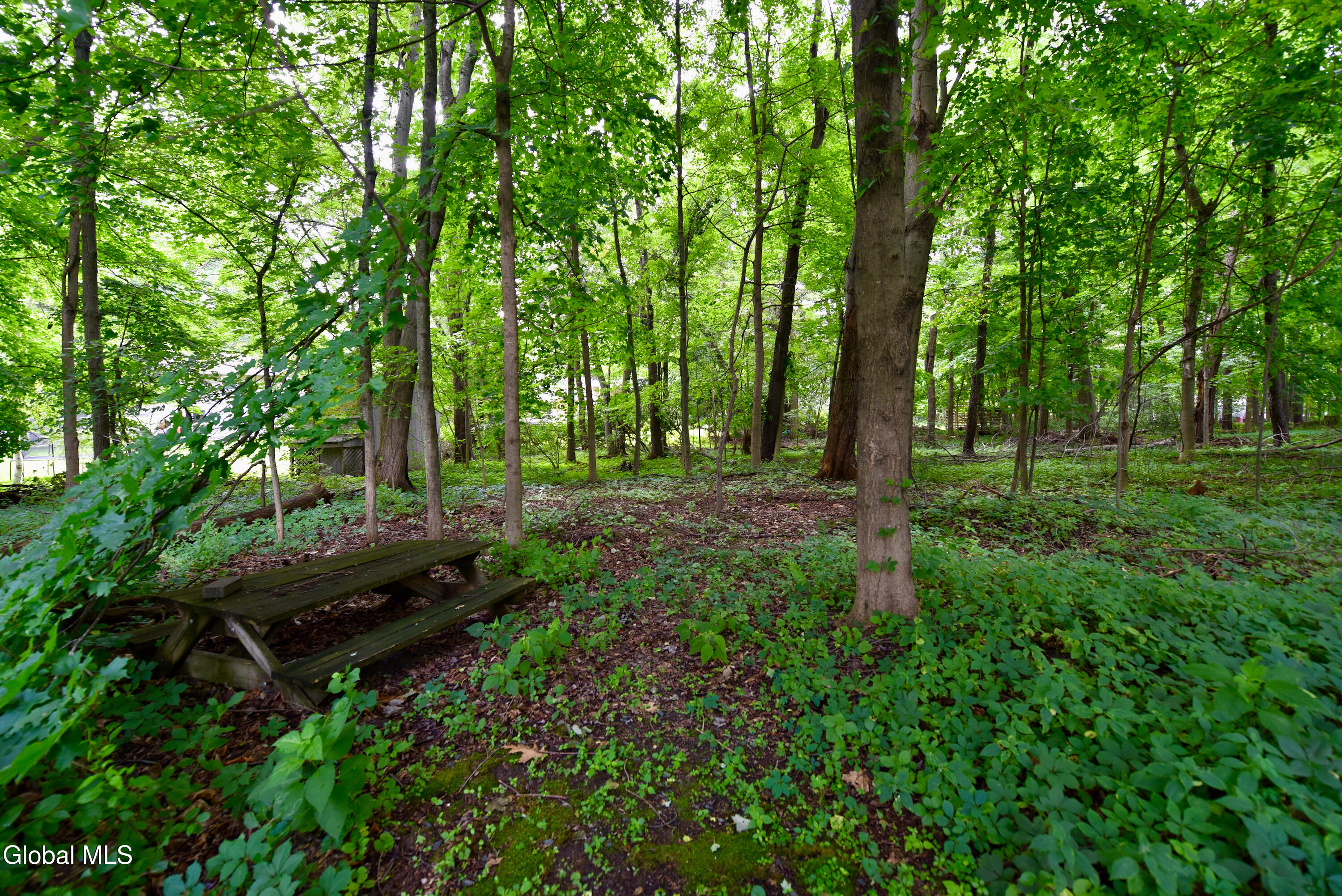 6 Gretel Terrace Ballston Lake NY 12065