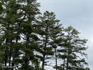8 Read Drive Lake Luzerne NY 12846