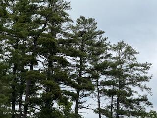 8 Read Drive Lake Luzerne NY 12846
