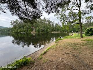 8 Read Drive Lake Luzerne NY 12846