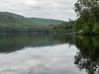 8 Read Drive Lake Luzerne NY 12846