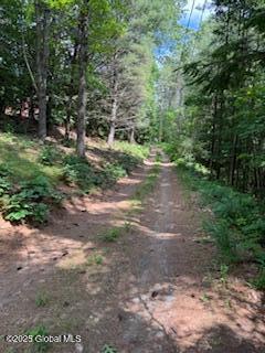 8 Read Drive Lake Luzerne NY 12846