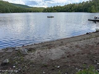 8 Read Drive Lake Luzerne NY 12846