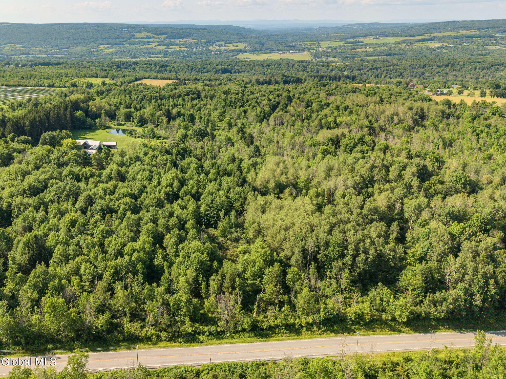 13388 Duanesburg Road Delanson NY 12053