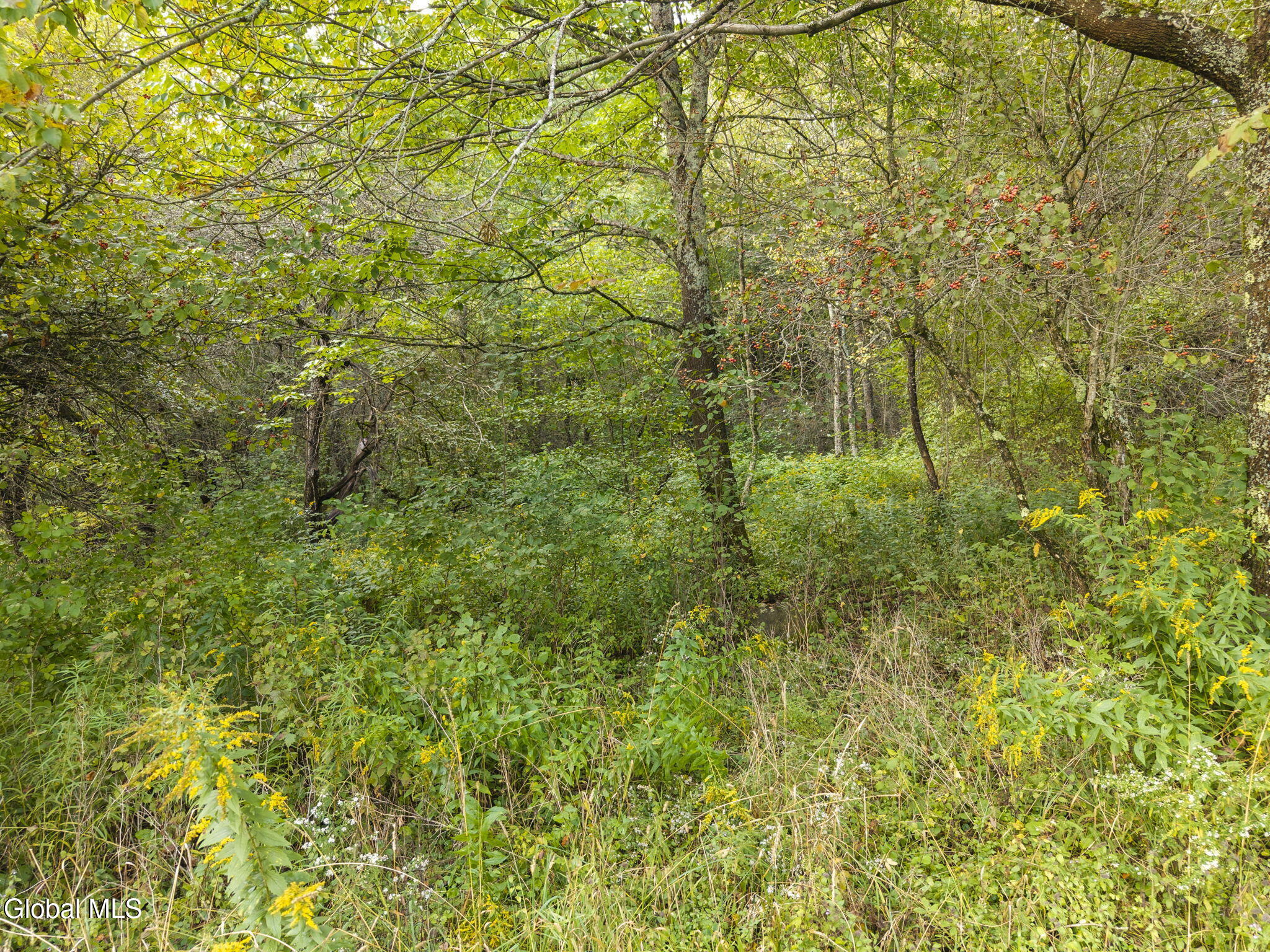 2545 County Highway 34 Westford NY 13488