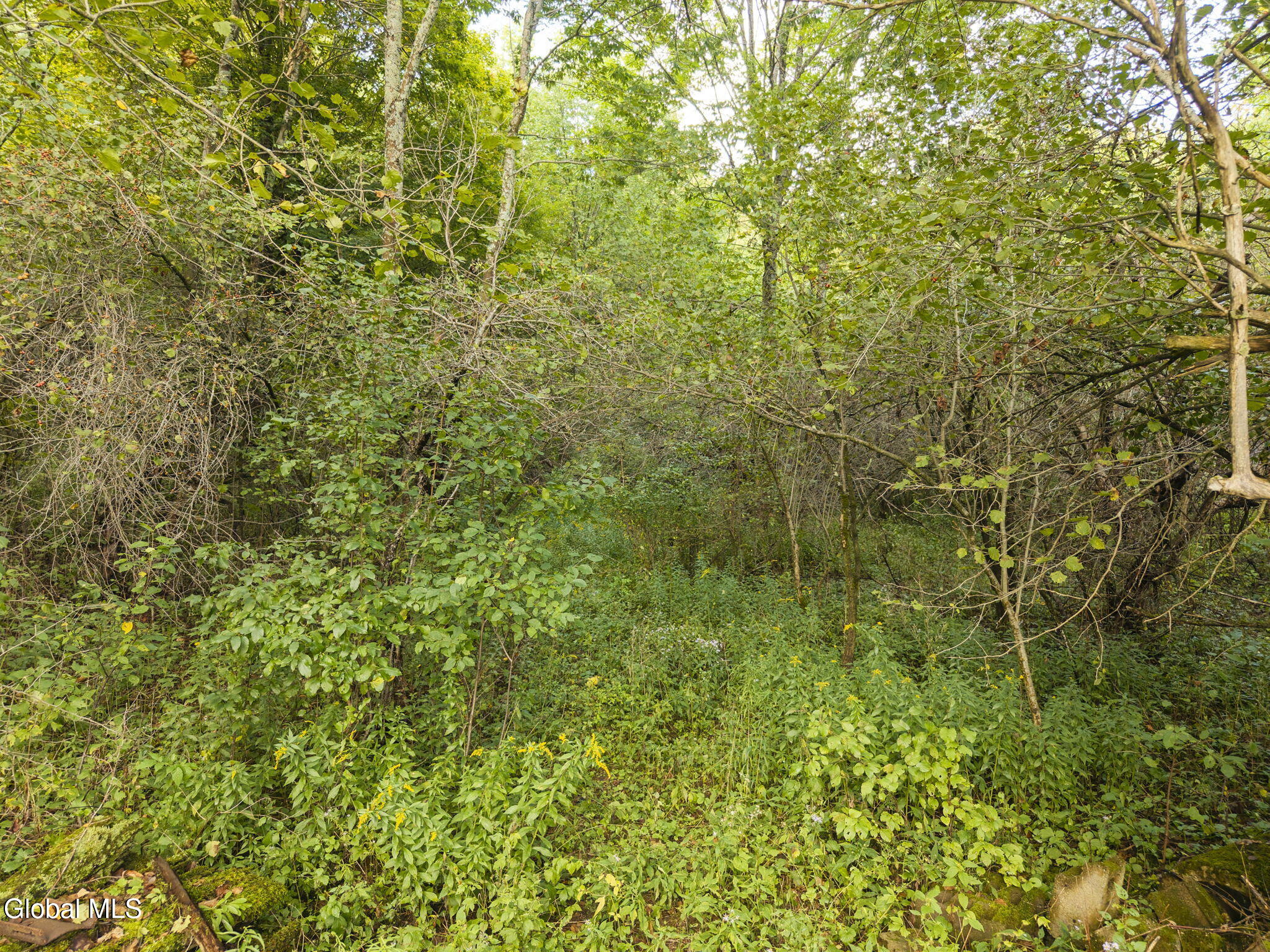 2545 County Highway 34 Westford NY 13488