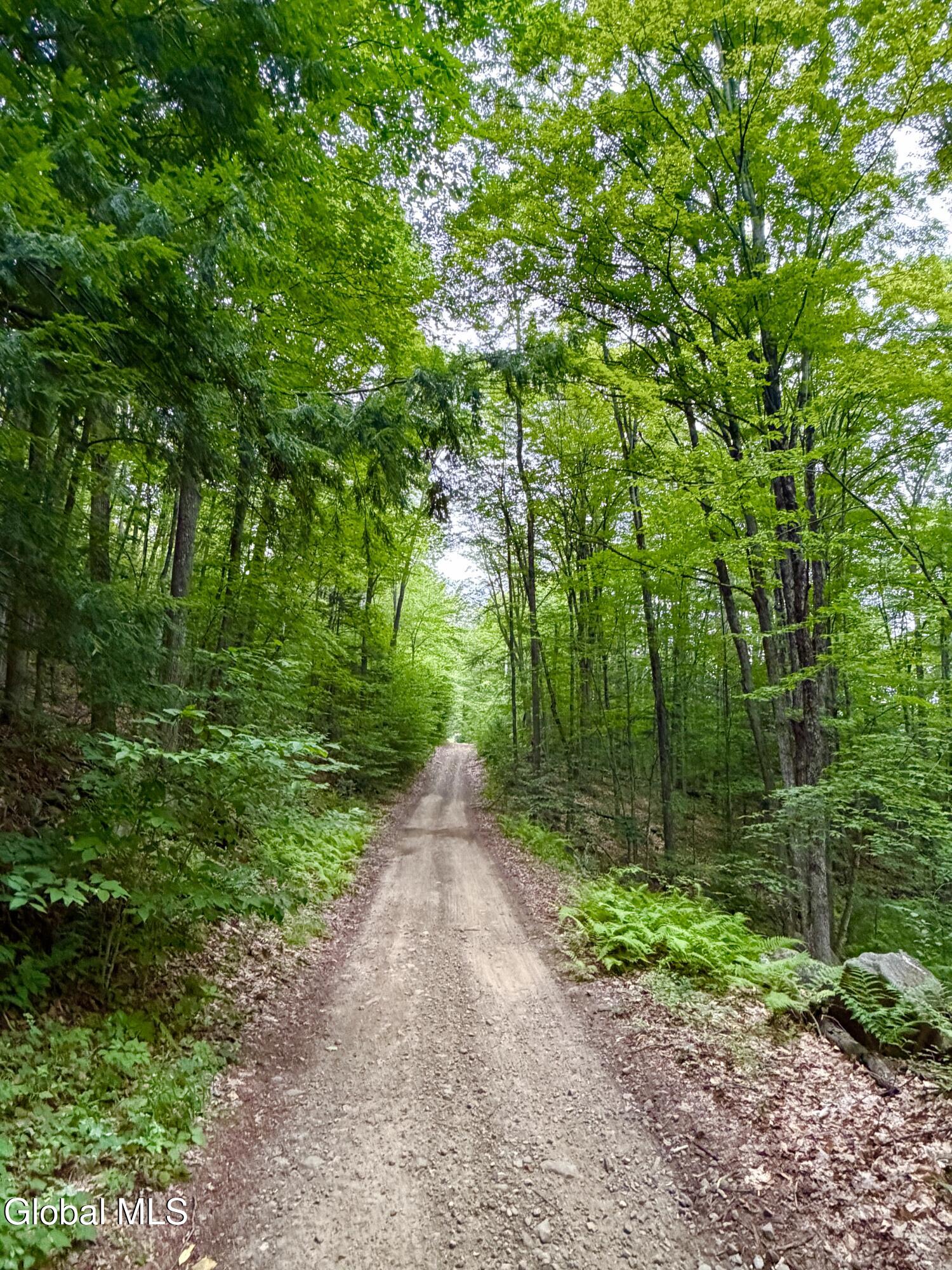 360 Steve Kathan Road Hadley NY 12835