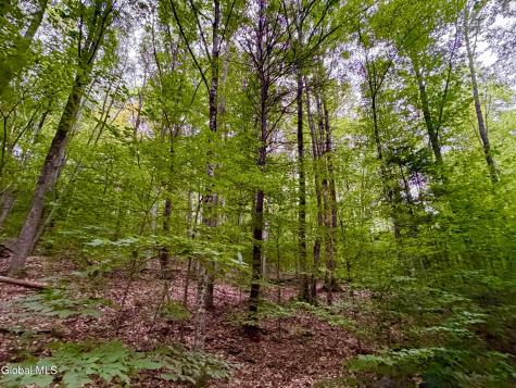 360 Steve Kathan Road Hadley NY 12835