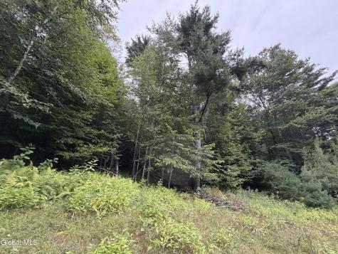 360 Steve Kathan Road Hadley NY 12835