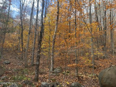 360 Steve Kathan Road Hadley NY 12835