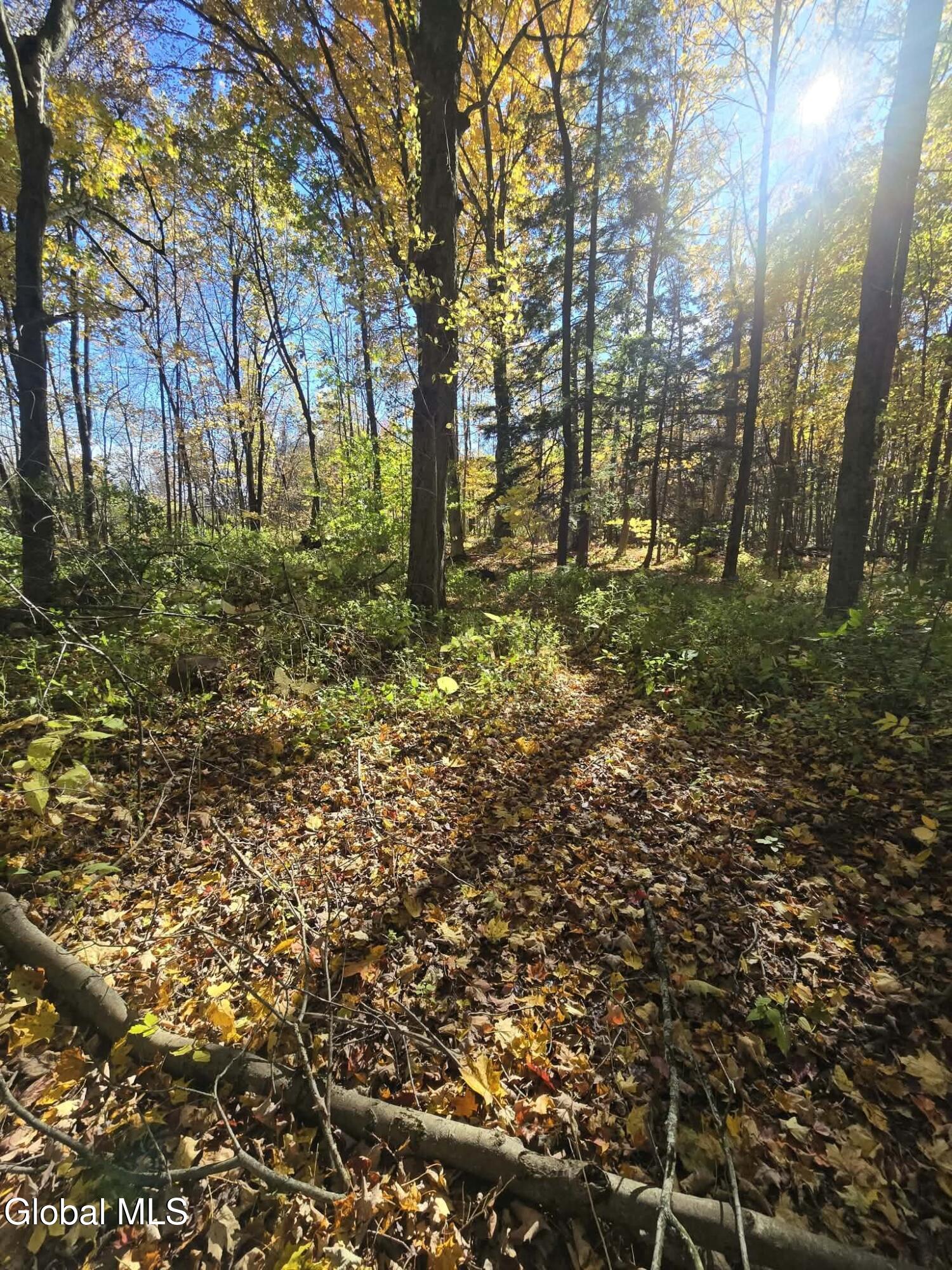 2303 Ny-67 West Charlton NY 12010