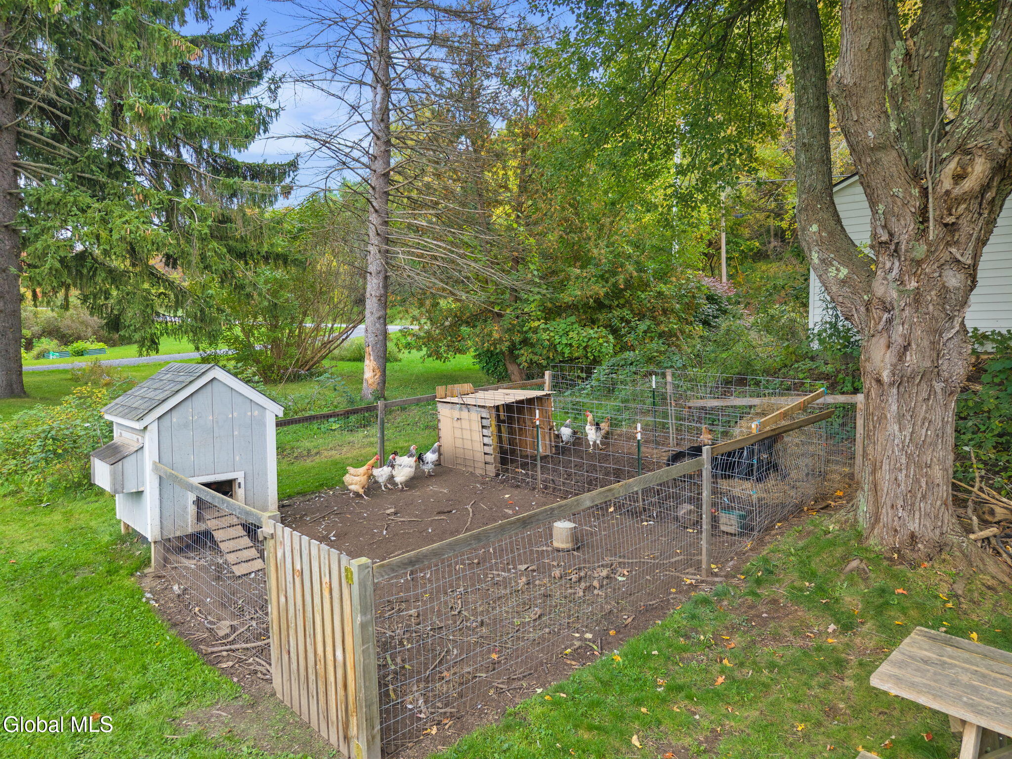 719 Mineral Springs Road Cobleskill NY 12043
