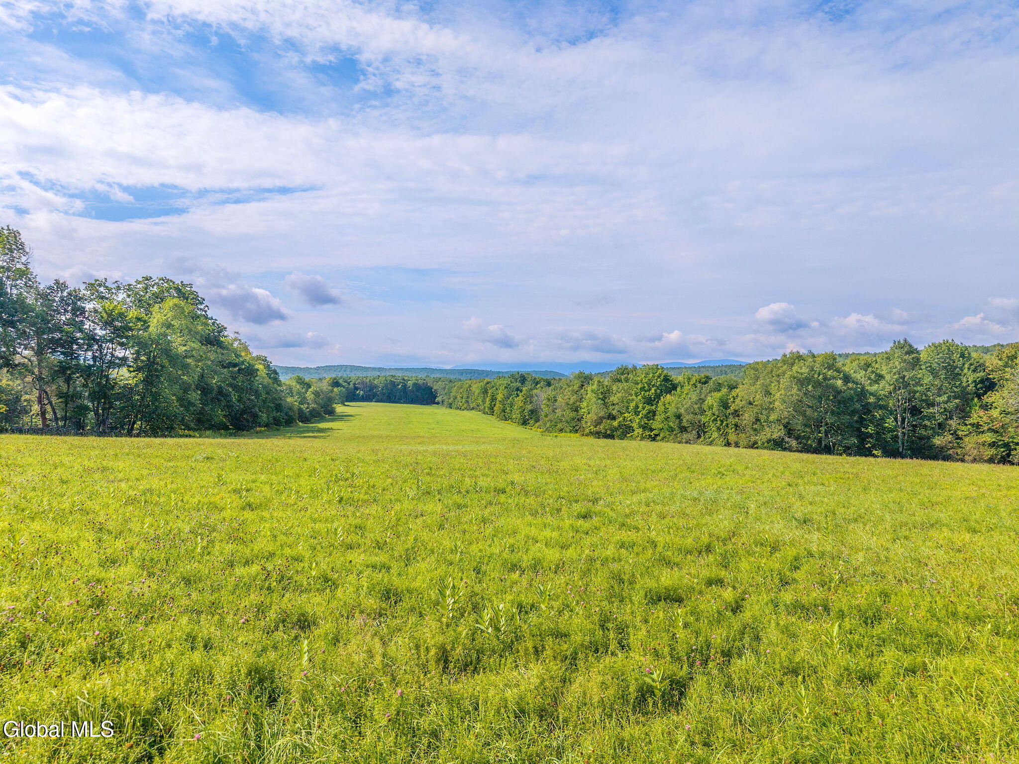 310 Maybie Road Gilboa NY 12076
