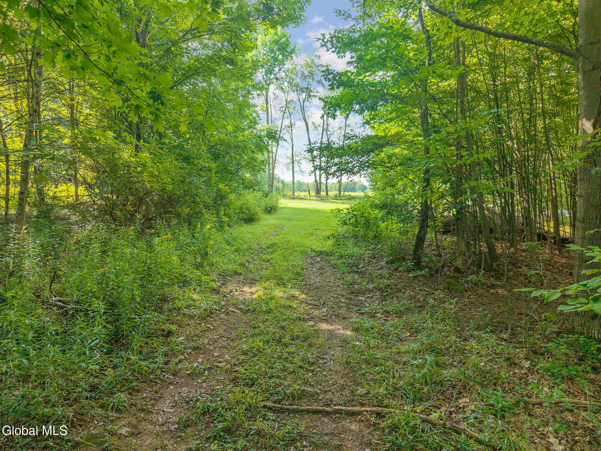 310 Maybie Road Gilboa NY 12076