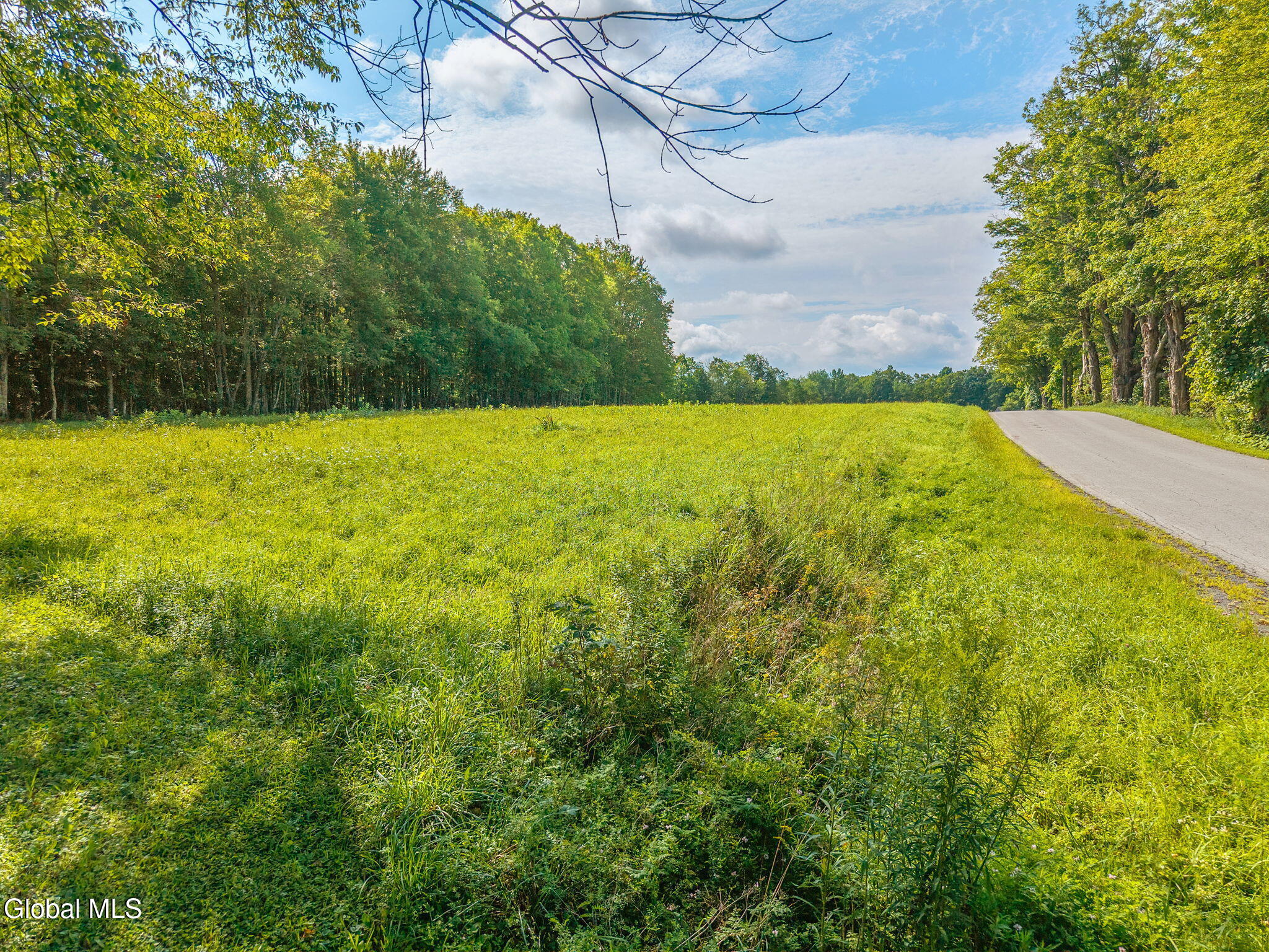 310 Maybie Road Gilboa NY 12076