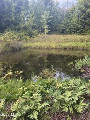 178 Dunshee Road Unadilla NY 13838