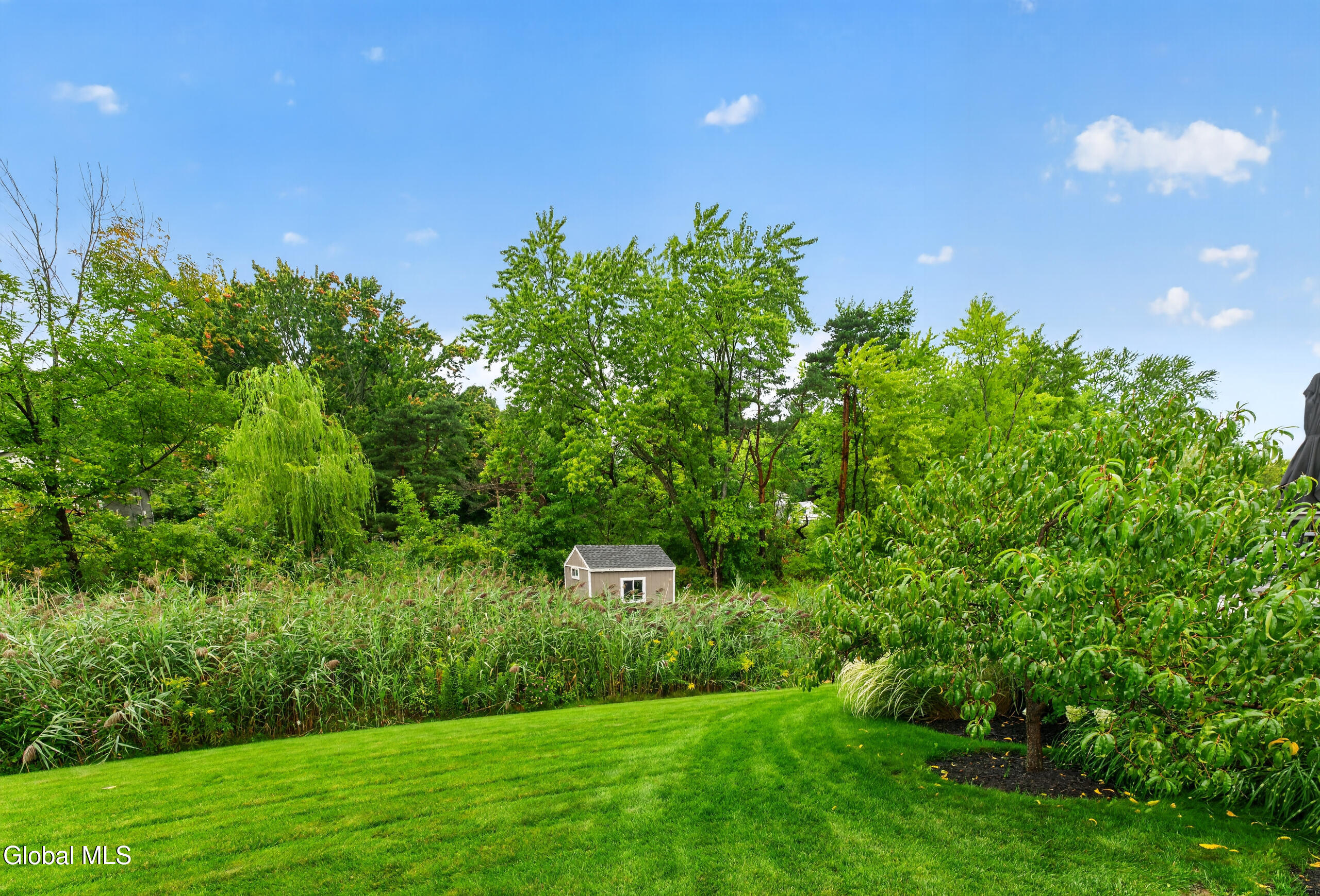 11 Oreshan Court Cohoes NY 12047