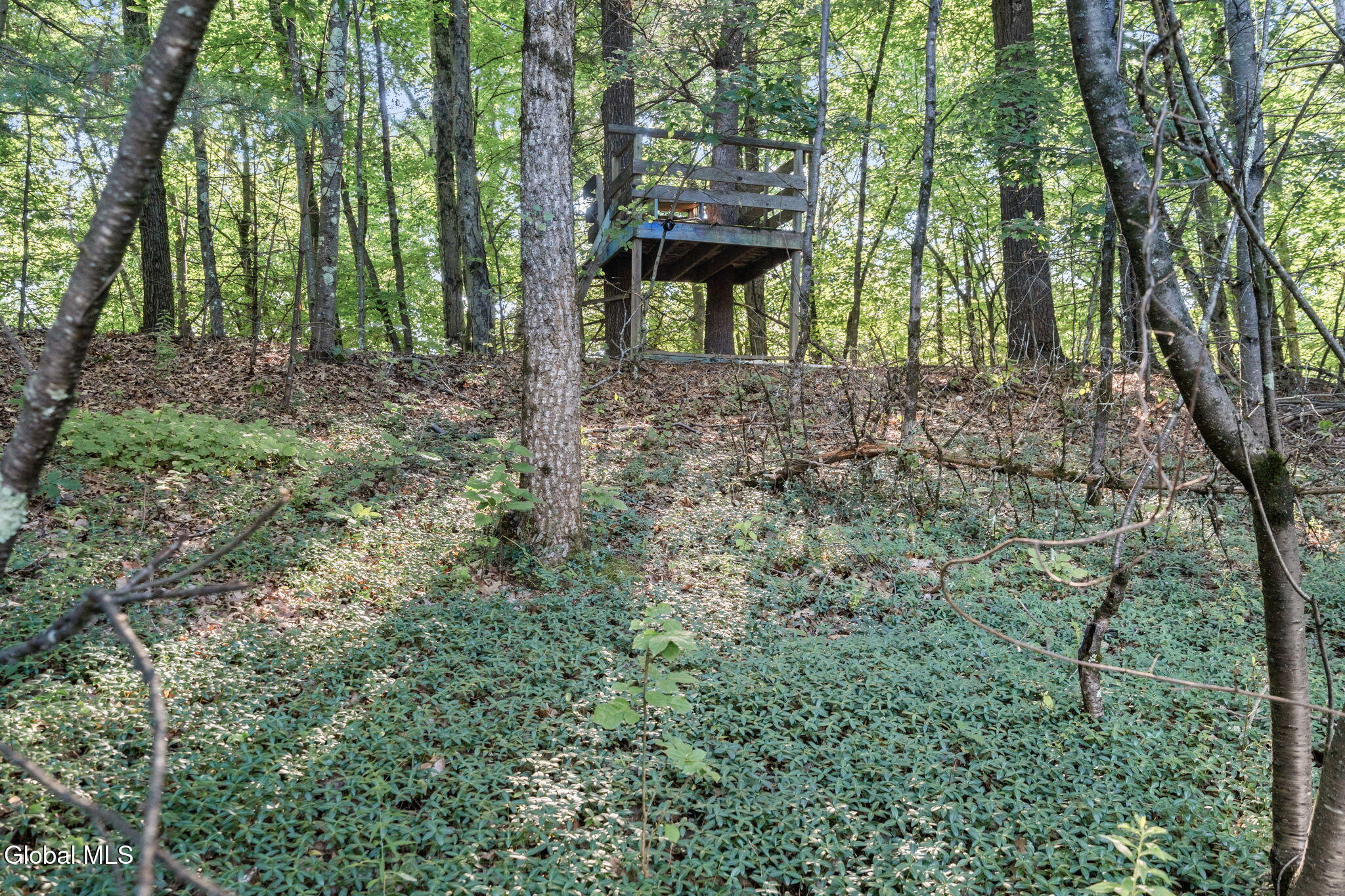 1 Winding Ridge Road West Sand Lake NY 12196
