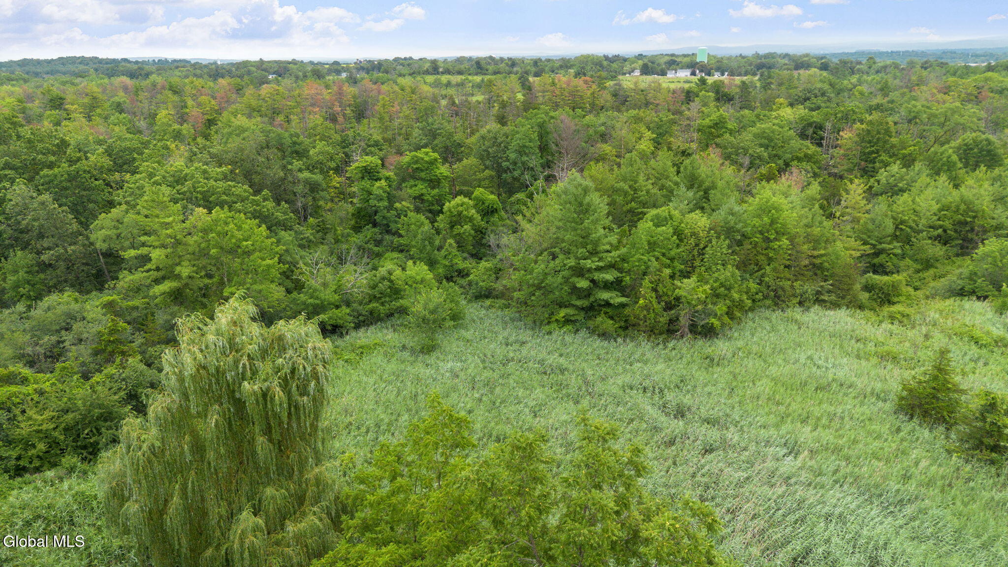 38 Green Acres Road Hudson NY 12534