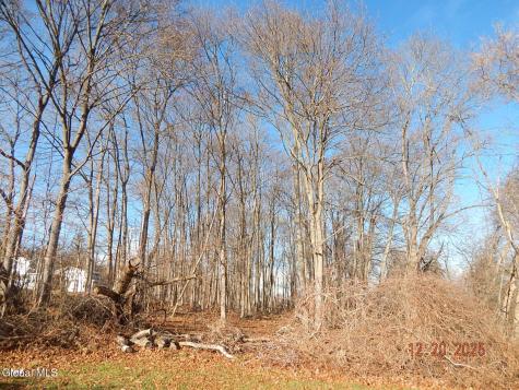 250 Old Quarry Road Feura Bush NY 12067