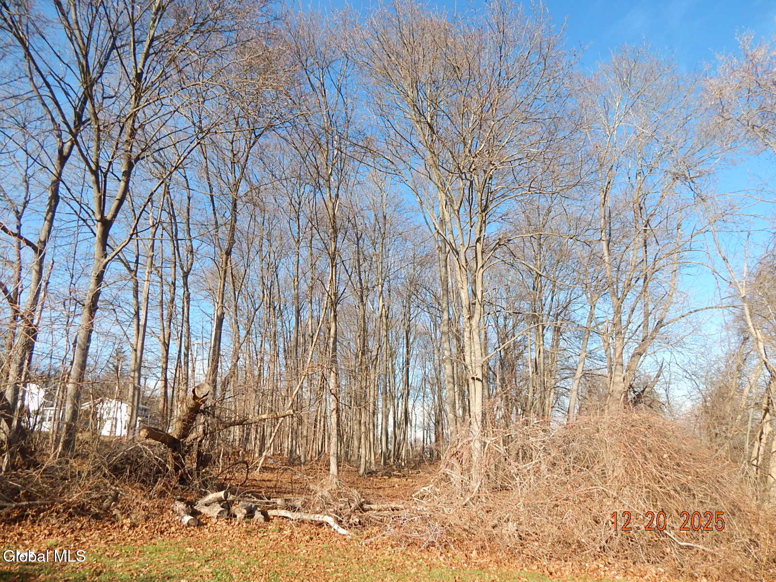 250 Old Quarry Road Feura Bush NY 12067