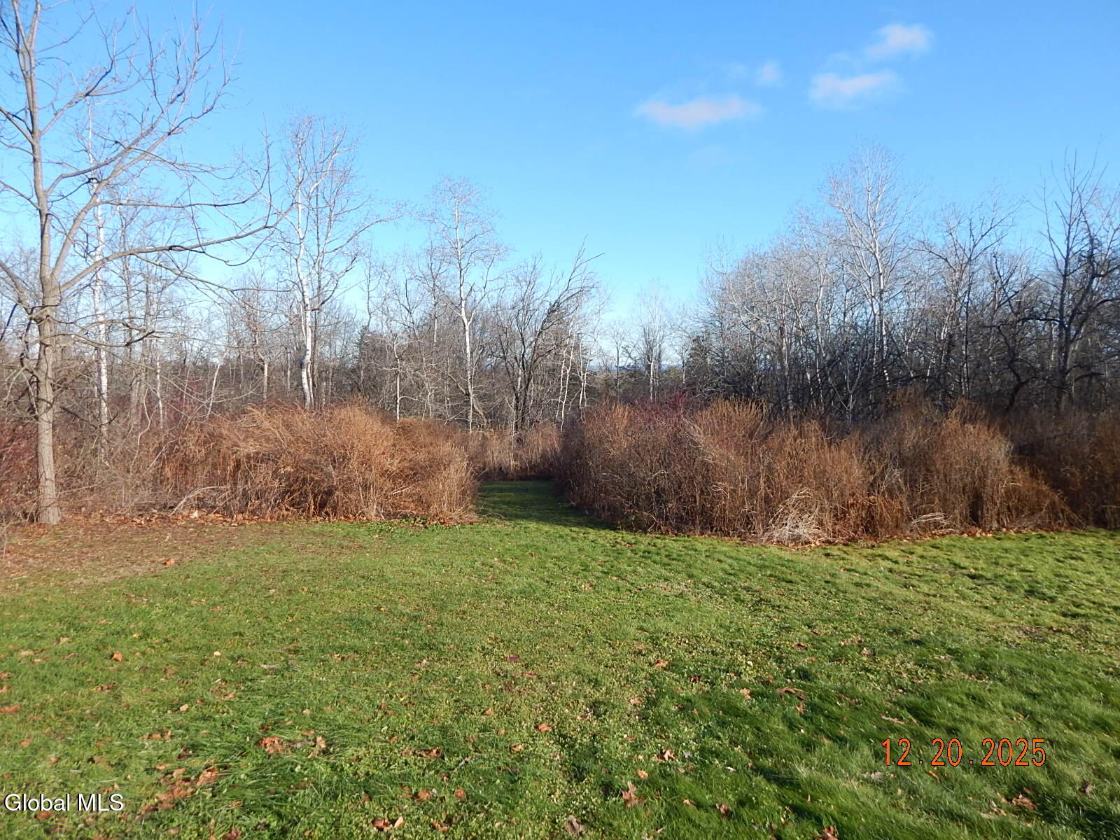 250 Old Quarry Road Feura Bush NY 12067