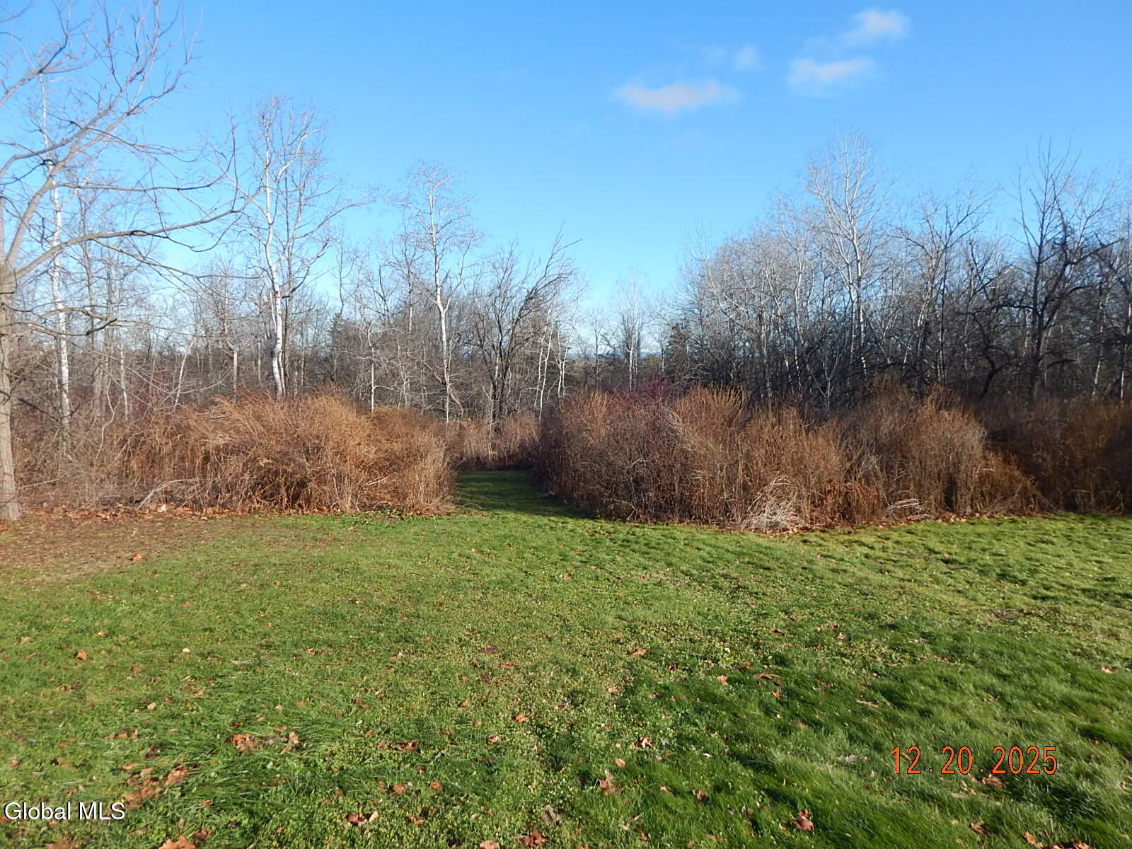 250 Old Quarry Road Feura Bush NY 12067