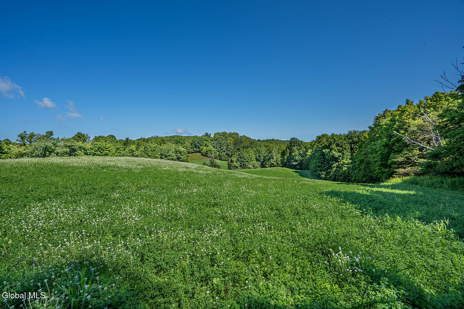 217 S Grimes Hill Road Hebron NY 12832