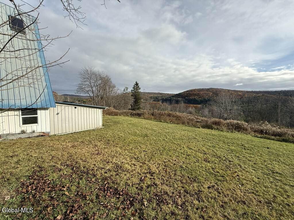 353 Blatchley Road Windsor NY 13865