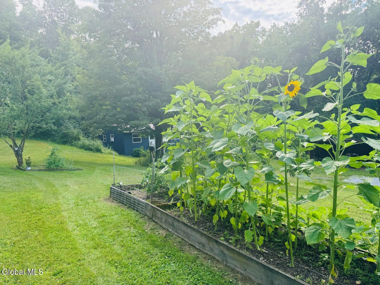 11 Edwards Way Granville NY 12832
