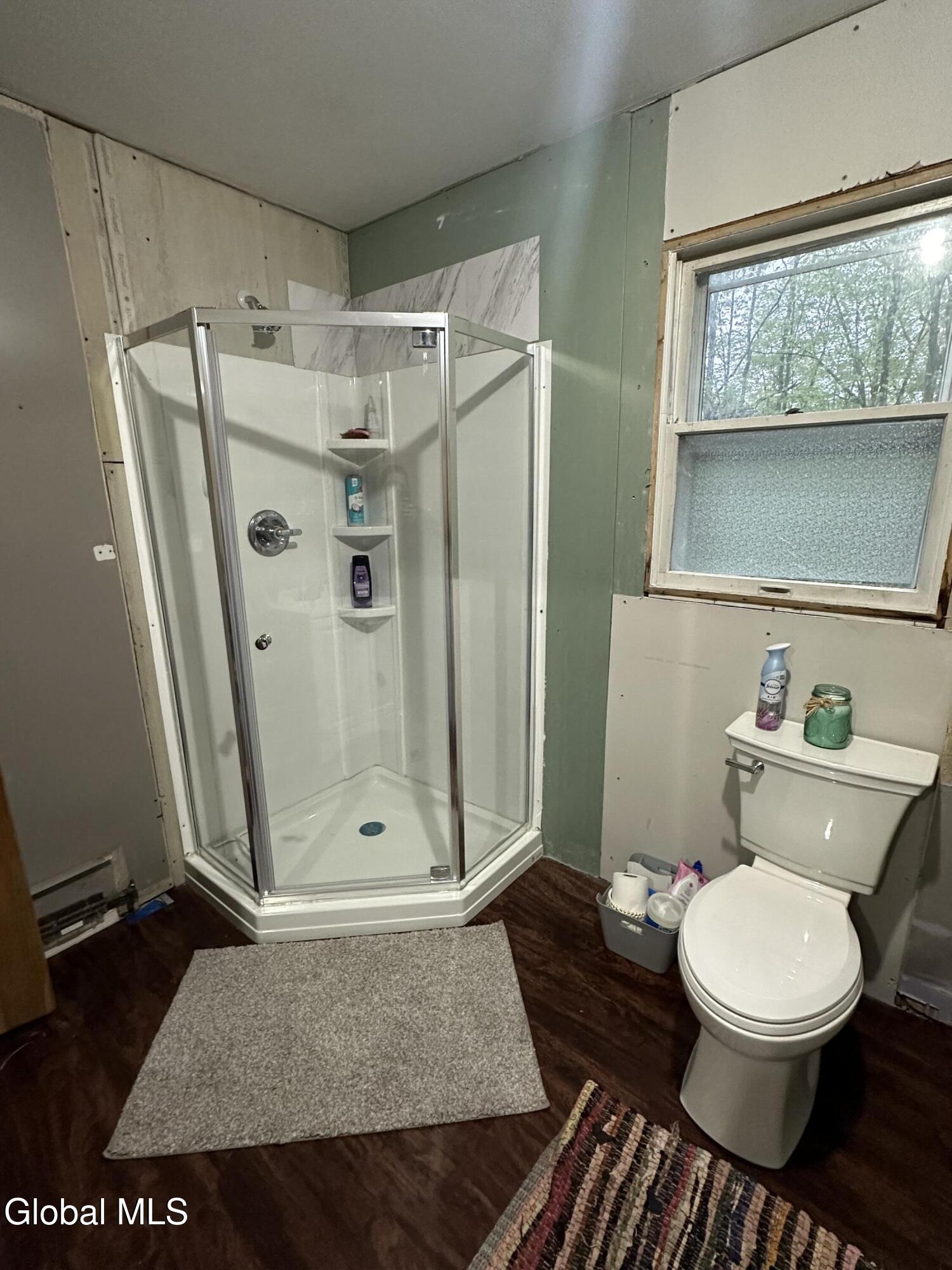 1640 County Route 13 Brainard NY 12125