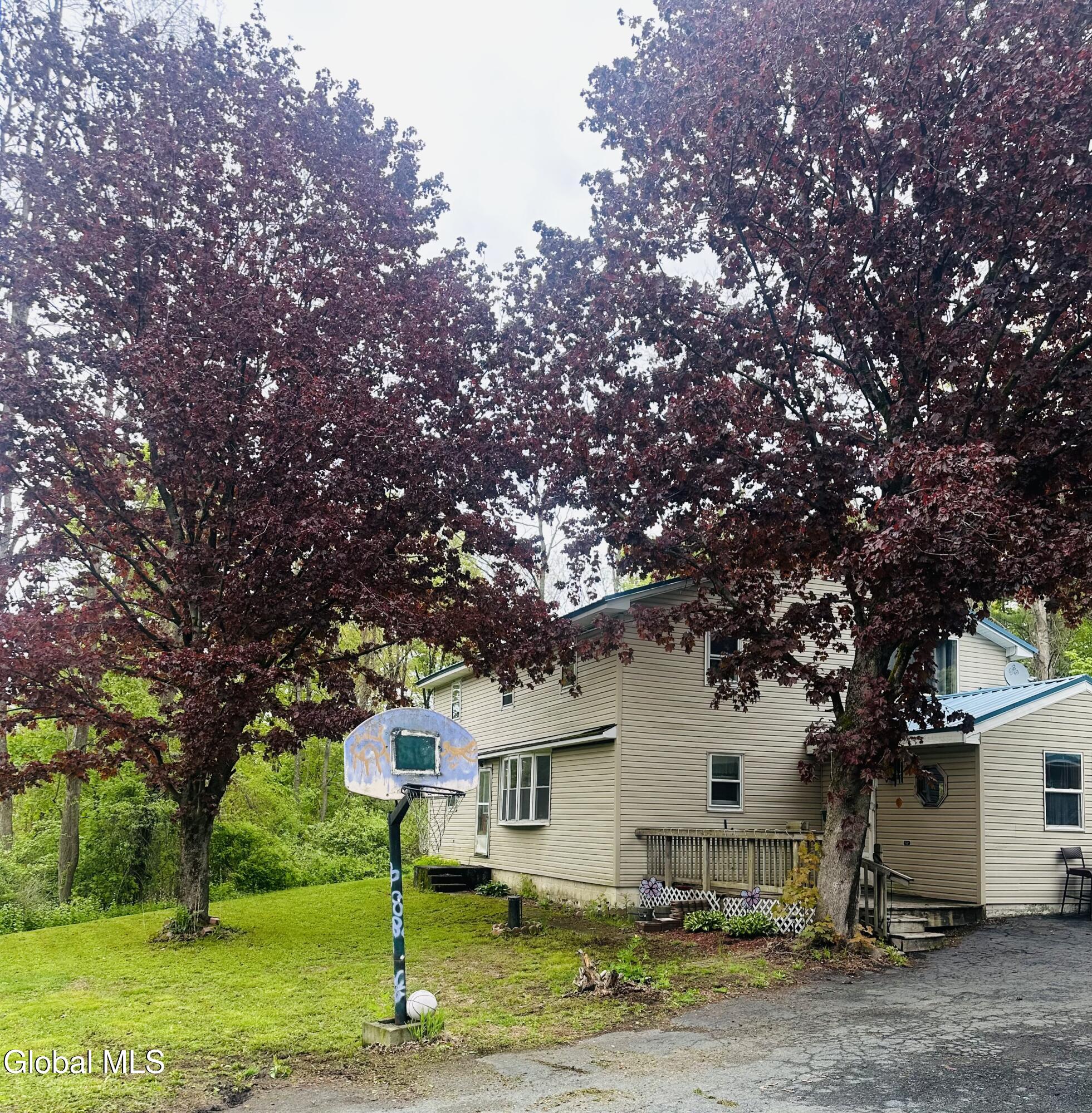 1640 County Route 13 Brainard NY 12125