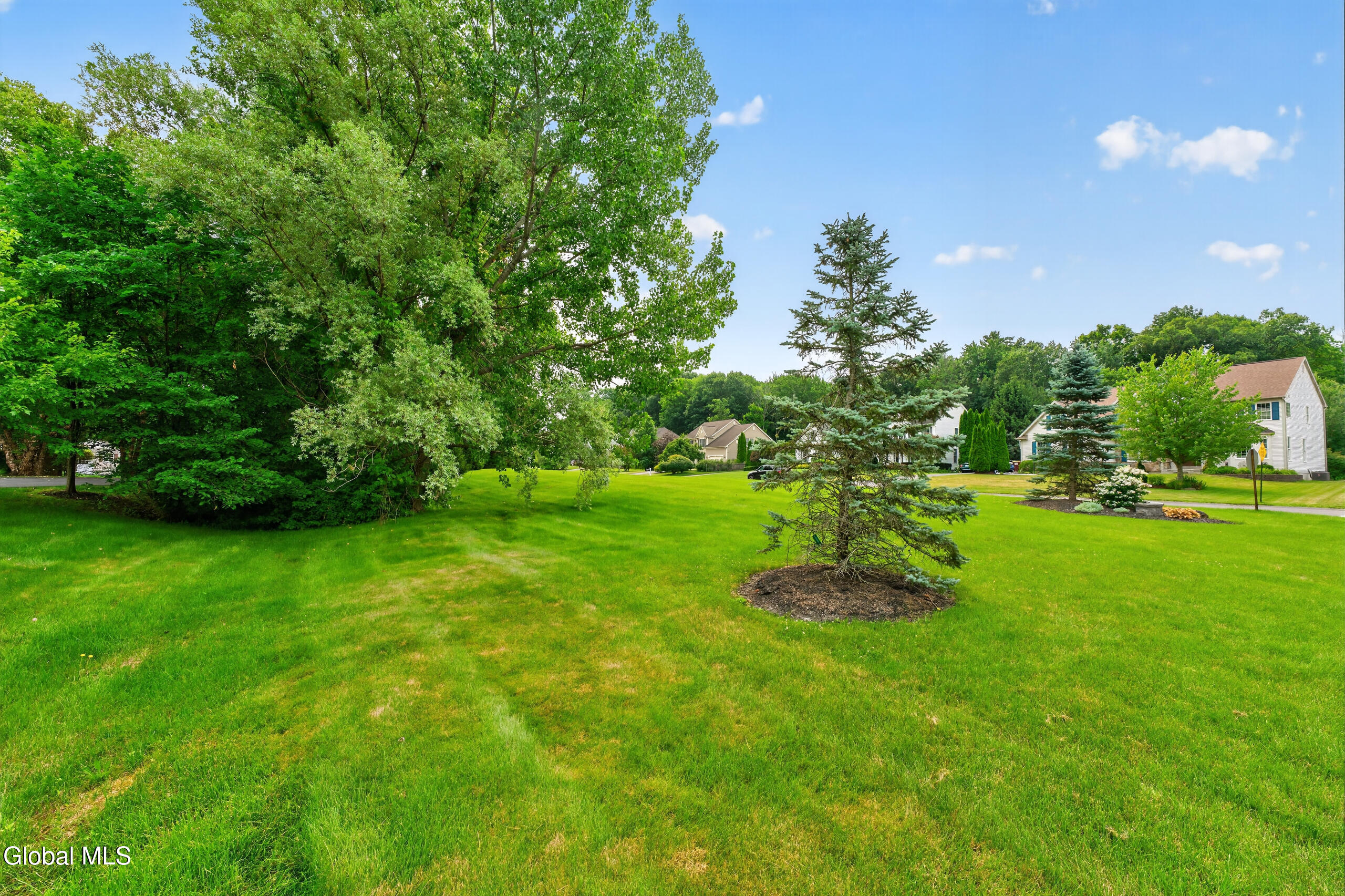 5 Caraway Court Halfmoon NY 12065