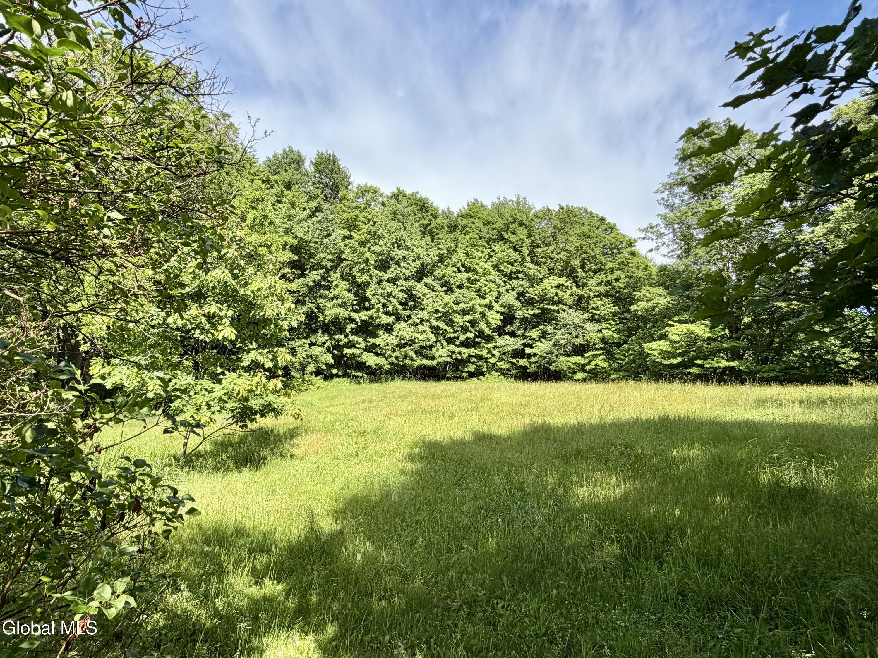 218 County Highway 38 East Worcester NY 12064