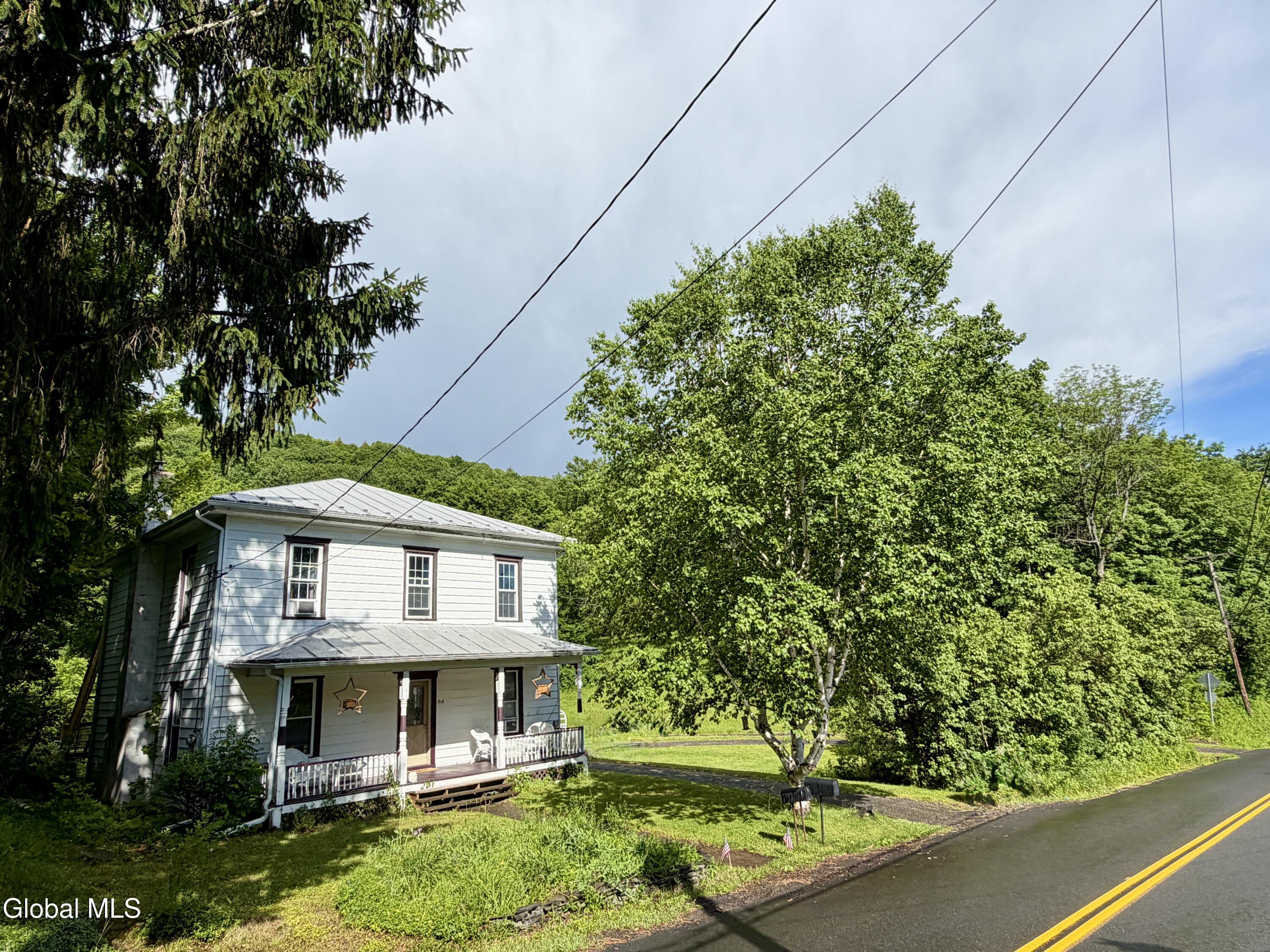 218 County Highway 38 East Worcester NY 12064
