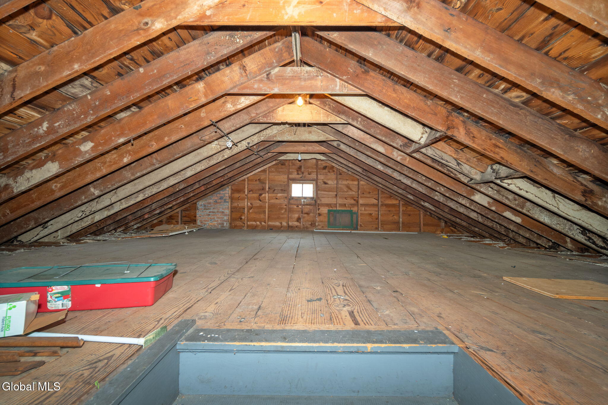 19 Harris Avenue Albany NY 12208