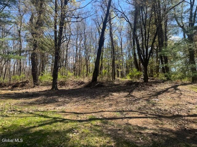 72 Cole Lane Troy NY 12180