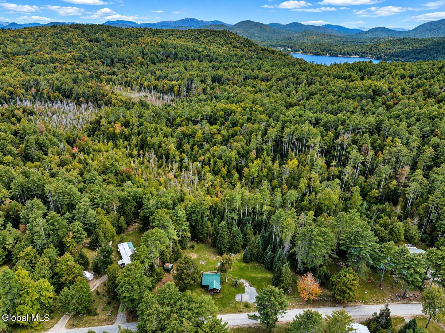 343 Shaw Hill Road Adirondack NY 12808